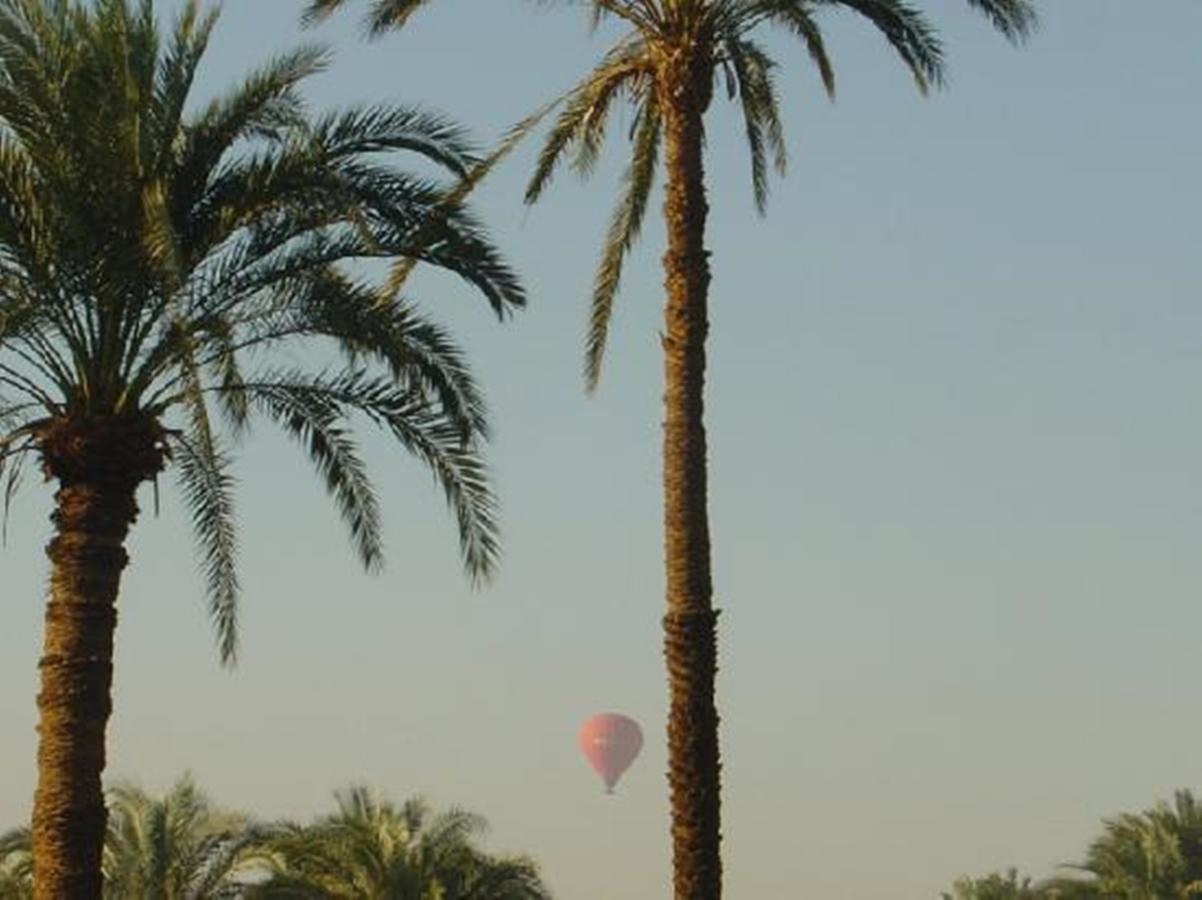 El Nakhil Hotel Luxor Exteriér fotografie